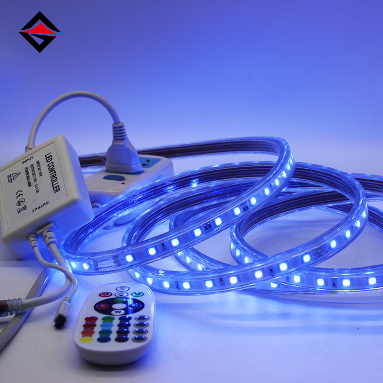 Galugarin ang Makabagong Pag-iilaw: Mataas na boltahe na RGB Waterproof Light Strips