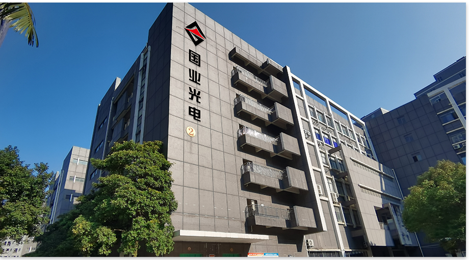 Shenzhen Guoye Optoelectronics 2024 Year-End Buod