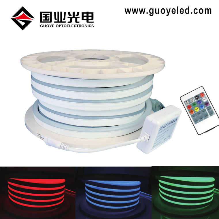 RGB led neon rope light 220V